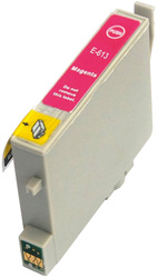 foto 1 EPSON afbeelding T0613 RANDAPPARATUUR > PRINTERS > INKT > COMPATIBLE