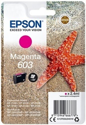 foto 1 EPSON afbeelding 8715946666778 RANDAPPARATUUR > PRINTERS > INKT > ORIGINEEL > EPSON