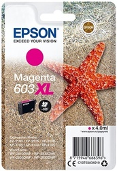 foto 1 EPSON afbeelding 8715946666716 RANDAPPARATUUR > PRINTERS > INKT > ORIGINEEL > EPSON