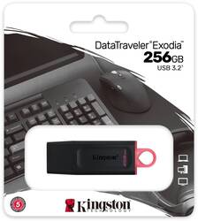 foto 1 KINGSTON afbeelding DTX/256GB RANDAPPARATUUR > USB FLASHDRIVE