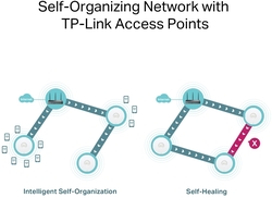 foto 5 TP-LINK afbeelding ARCHER C50 NETWERK > ROUTERS